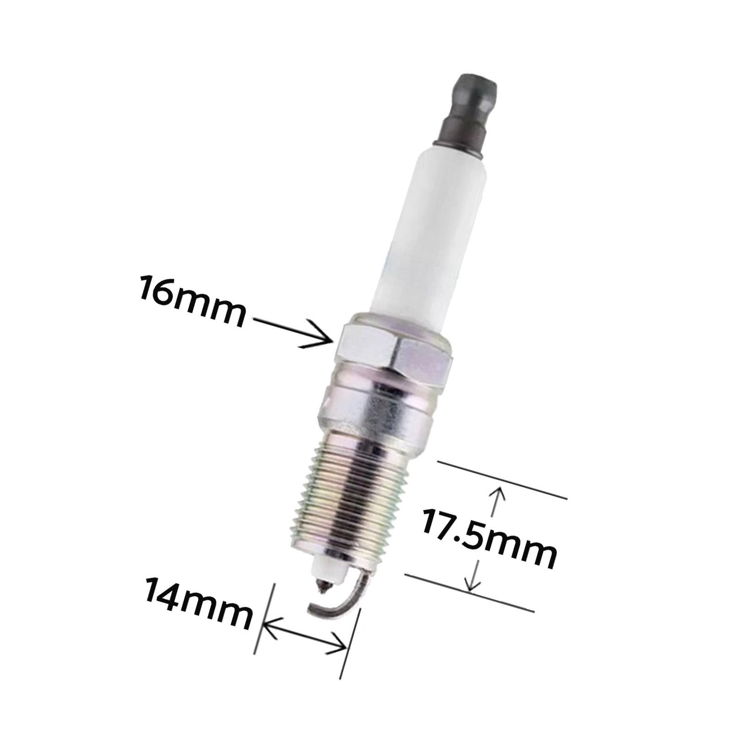 Ignition Leads Spark Plugs Set Suitable For Holden VZ Commodore L76 L77 19351569-3